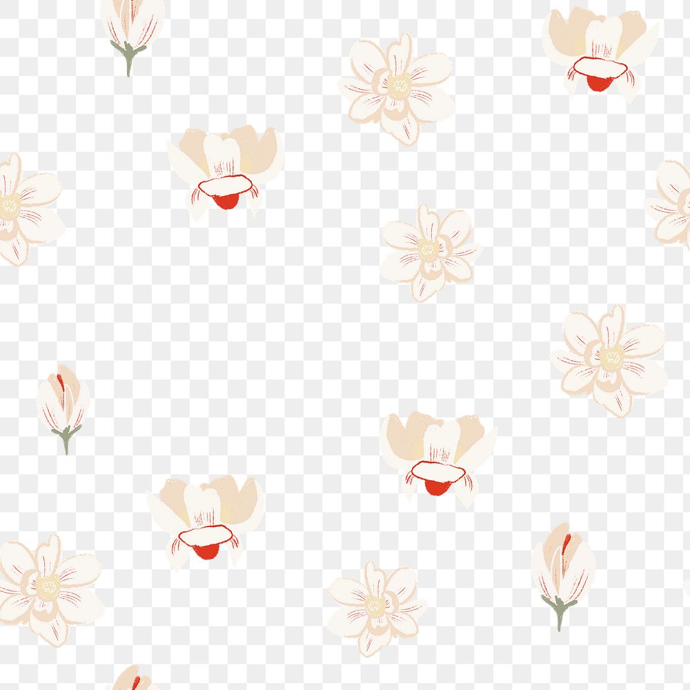 Magnolia flower png pattern, transparent background
