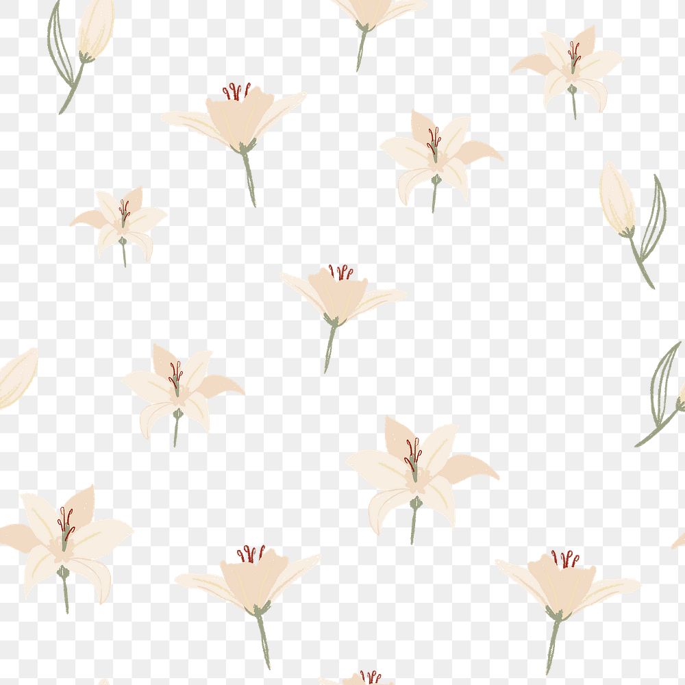 White lily flower png pattern, transparent background