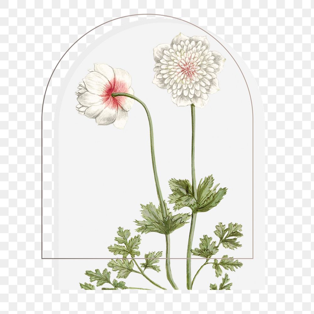 Vintage flower png sticker, animal, transparent background