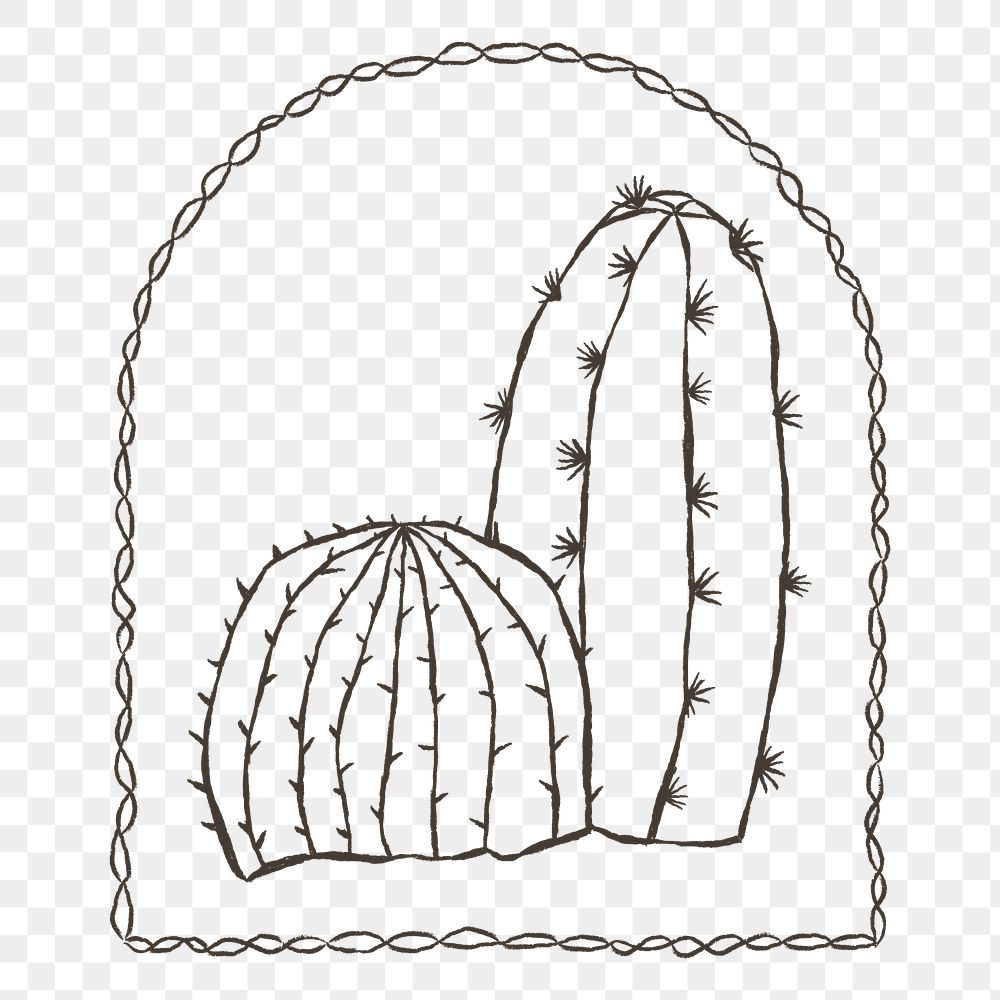 Cactus png sticker, transparent background