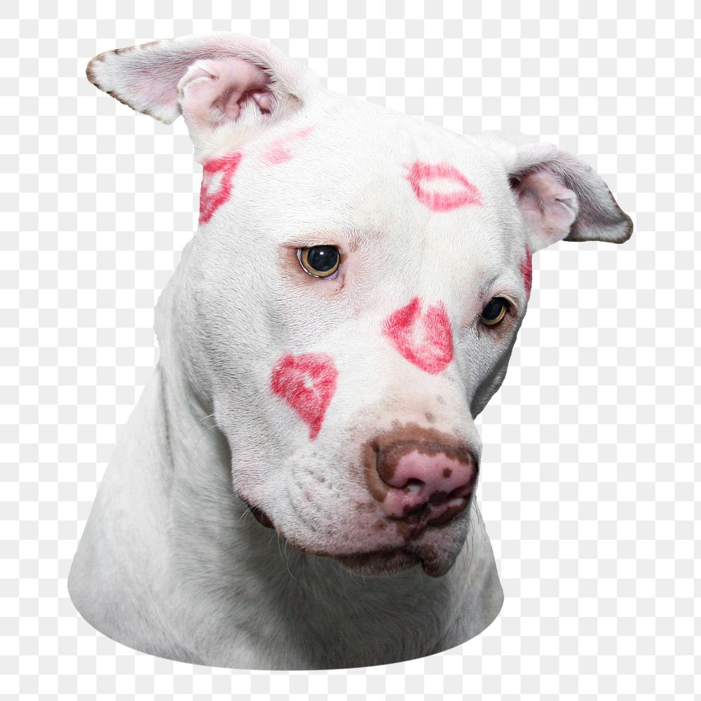 Png dog with lipstick kisses sticker, transparent background