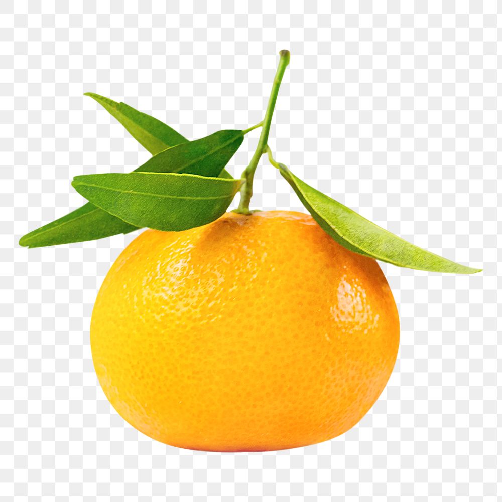 Orange fruit png sticker, transparent background