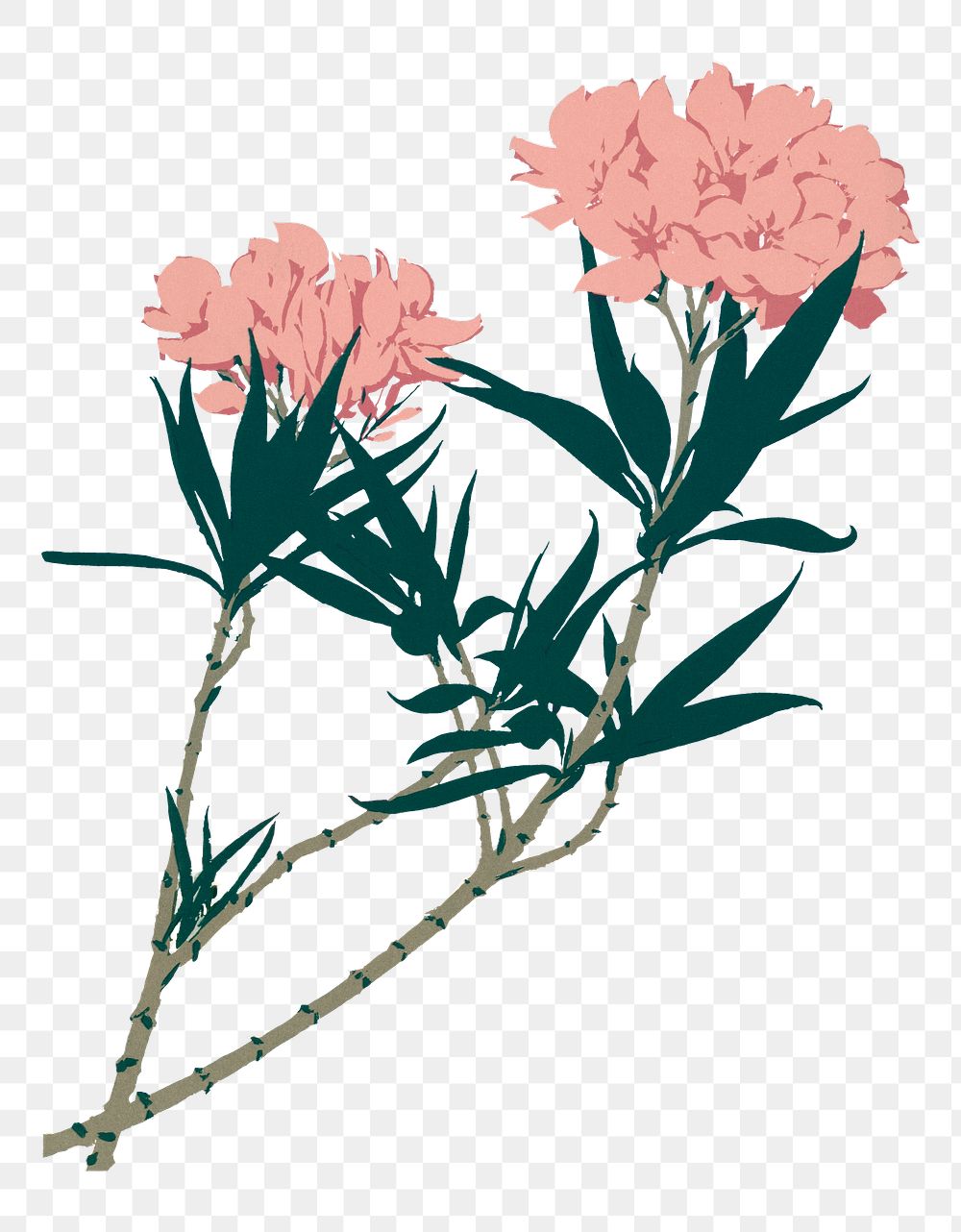 Pink vintage flower png illustration, transparent background. Remastered by rawpixel