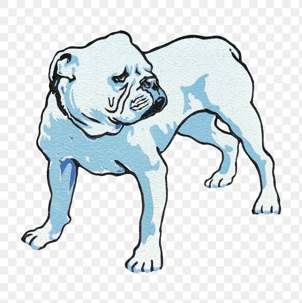Yale girl's Bulldog png pet illustration, transparent background.  Remastered by rawpixel
