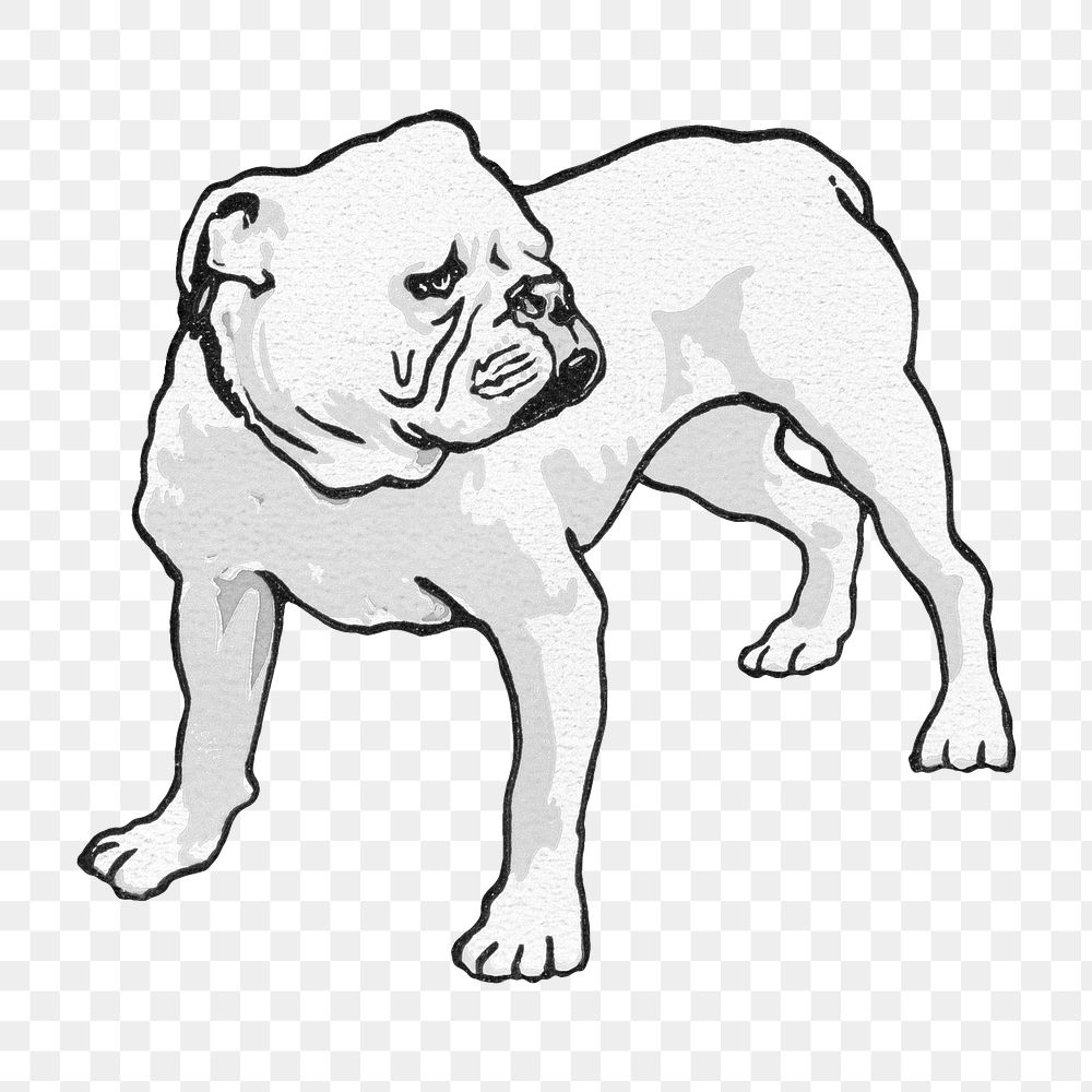 Bulldog dog png vintage pet illustration, transparent background. Remixed by rawpixel.