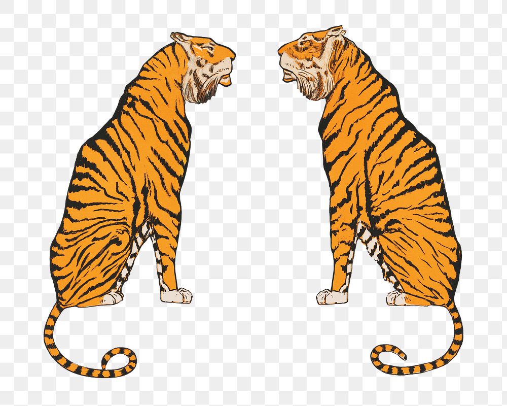 Aesthetic tigers  png on transparent background.   Remastered by rawpixel