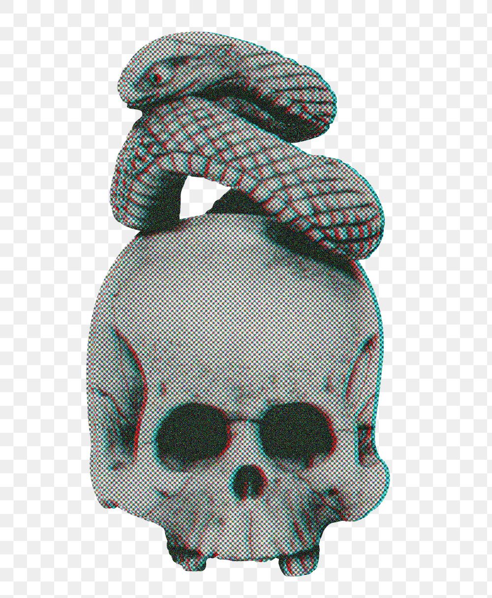 Aesthetic skull with snake png on transparent background. Remixed by rawpixel.