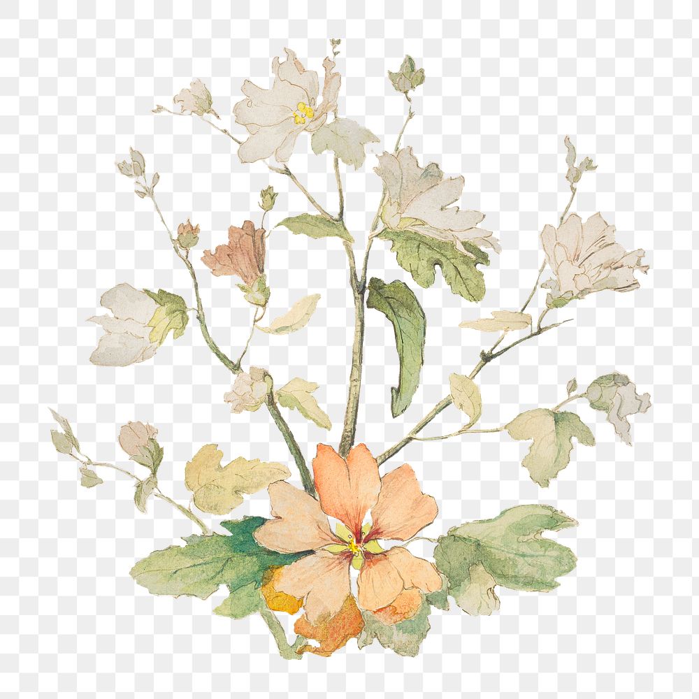 Aesthetic watercolor floral design png on transparent background.  Remastered by rawpixel