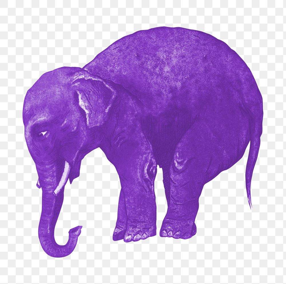 Aesthetic purple elephant png on transparent background. Remixed by rawpixel.