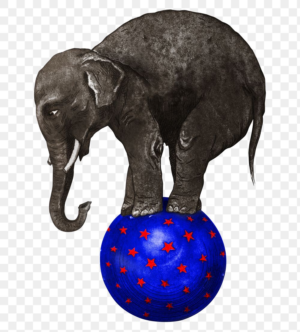 Aesthetic elephant png on transparent background. Remixed by rawpixel.