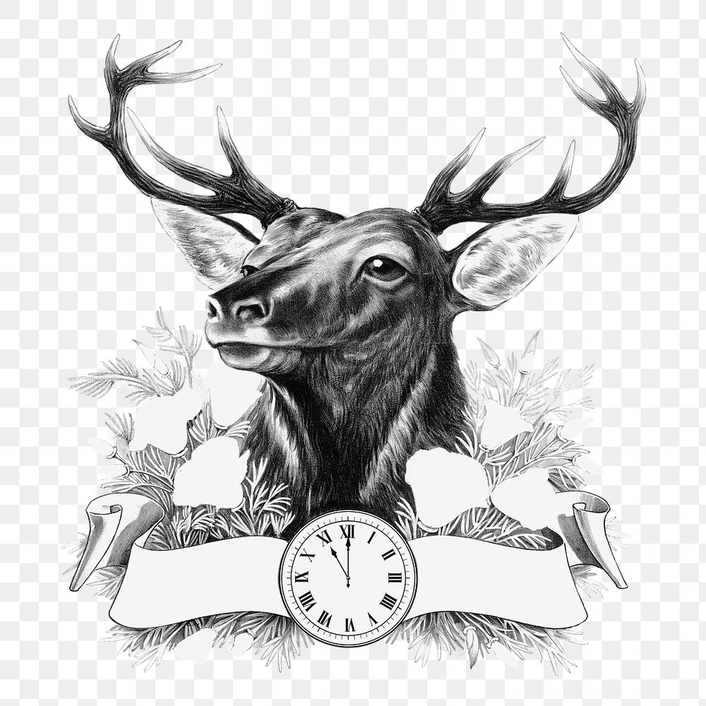 Aesthetic elk head png on transparent background.   Remastered by rawpixel