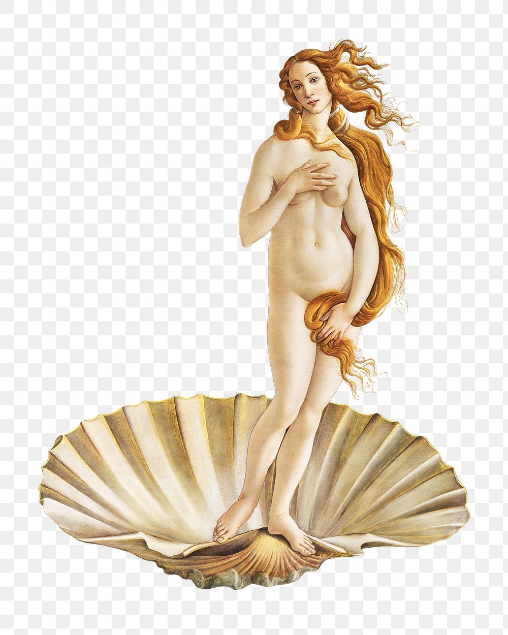 Png aesthetic Sandro Botticelli's Venus. Remastered by rawpixel