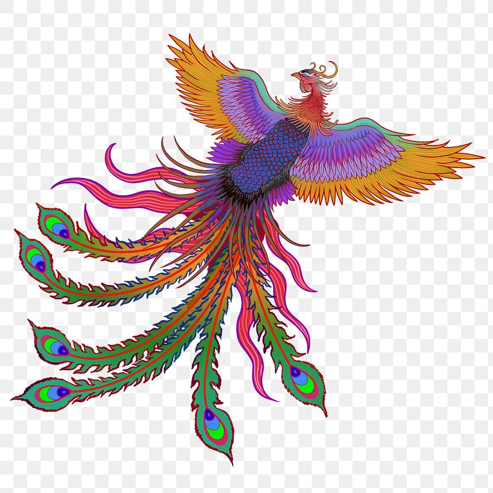 Colorful phoenix bird png sticker, Chinese animal illustration, transparent background