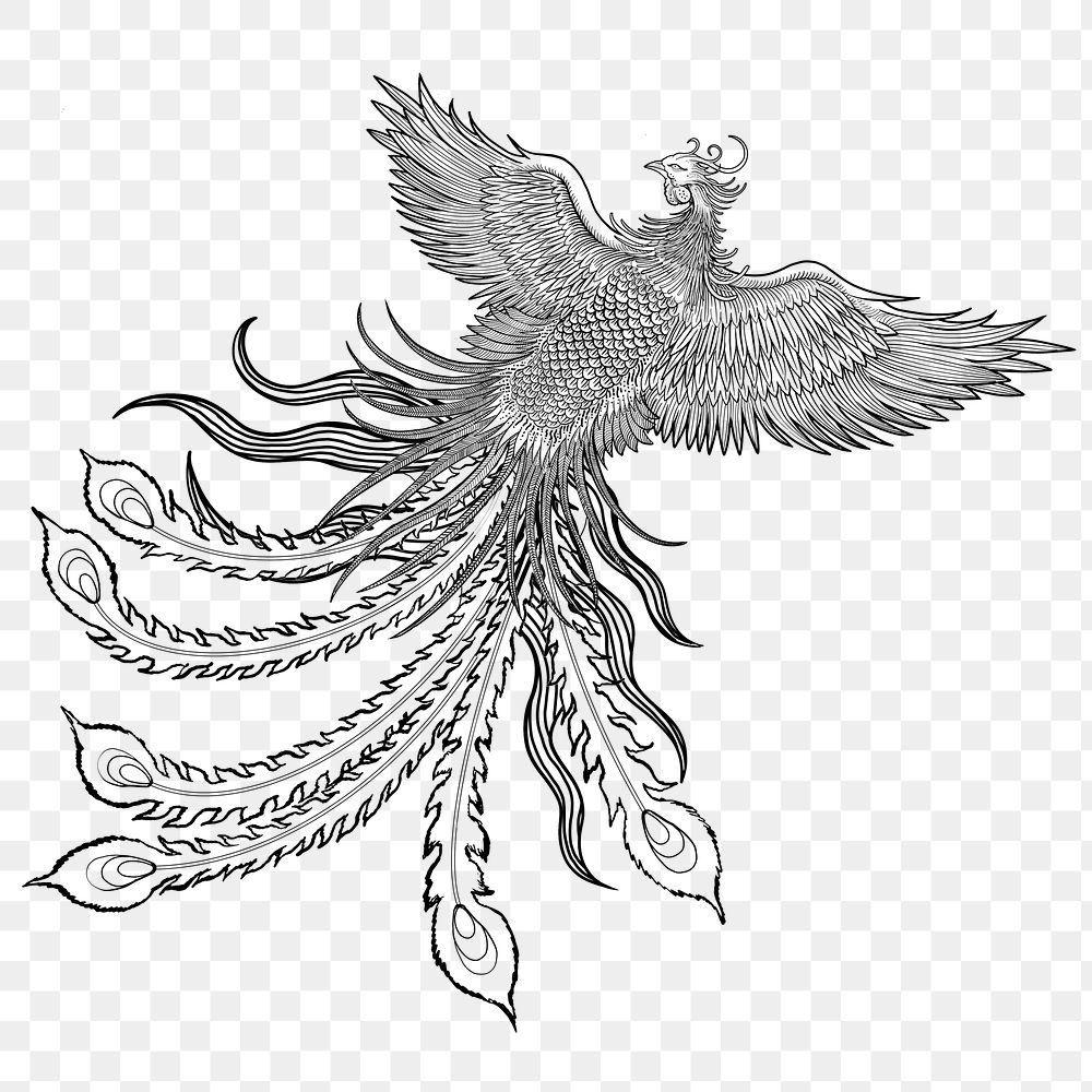 Ancient phoenix bird png sticker, Chinese mythical creature illustration, transparent background
