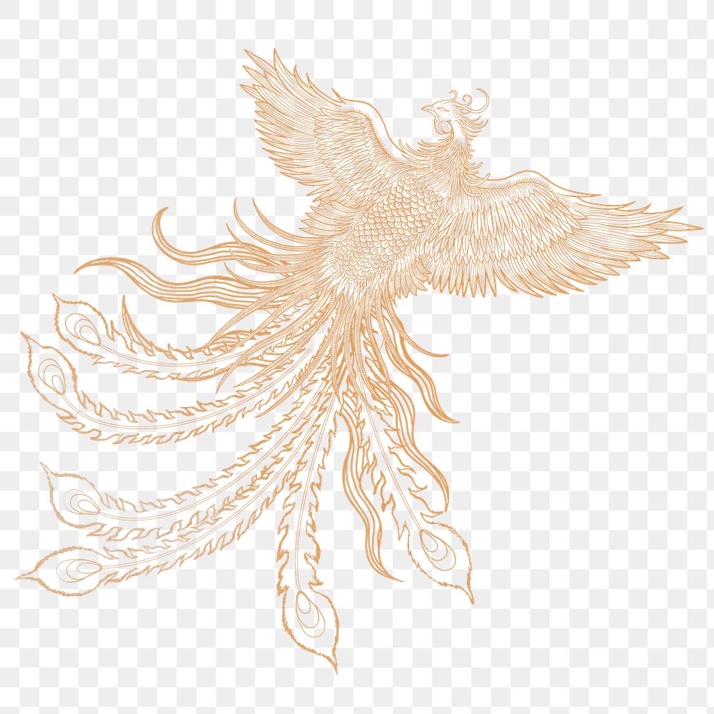 Golden Phoenix Images | Free Photos, PNG Stickers, Wallpapers ...