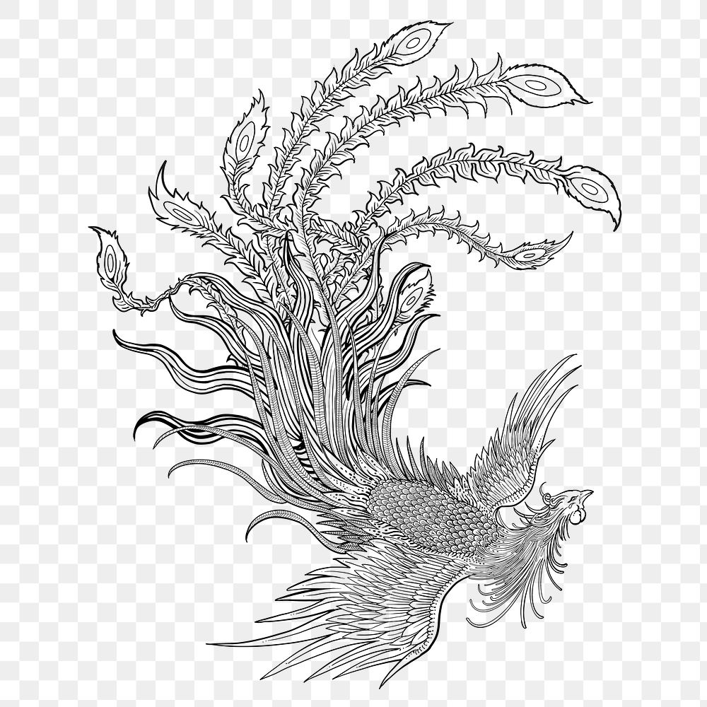 Ancient phoenix bird png sticker, Chinese animal tattoo, transparent background