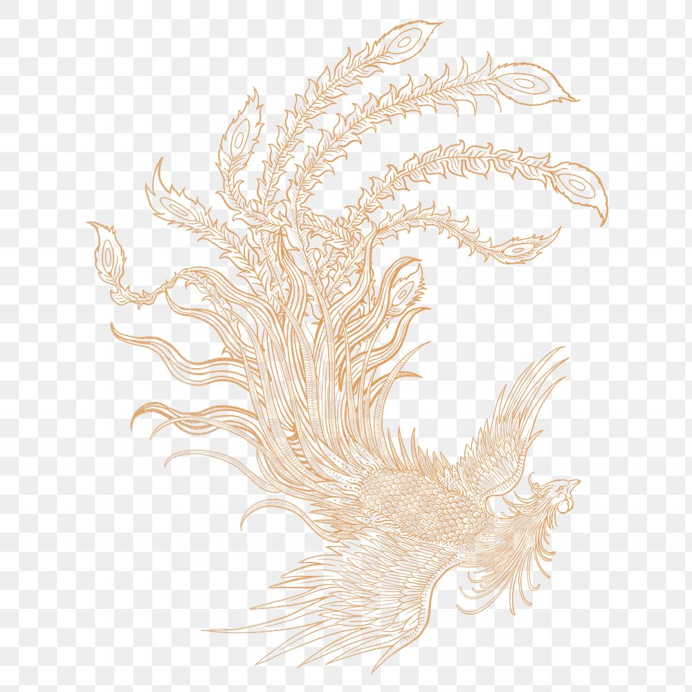 Gold phoenix bird png sticker, Chinese mythical creature illustration, transparent background