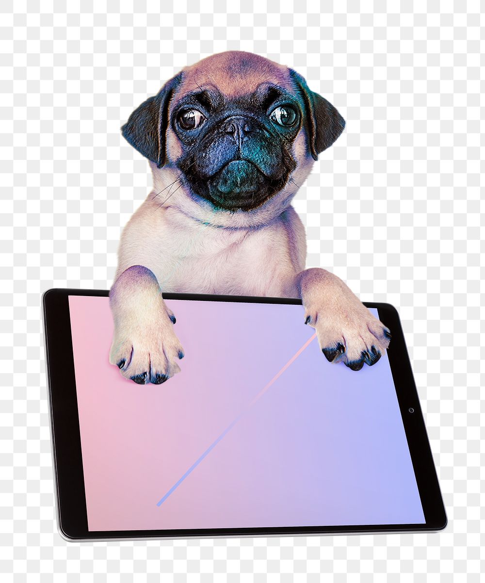 Tablet png cute Pug with screen sticker, transparent background