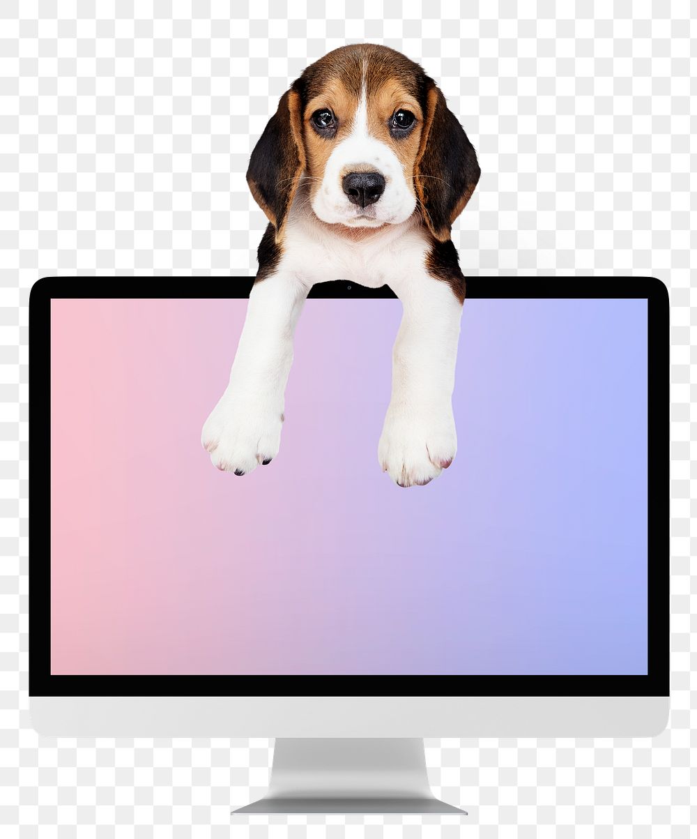Computer desktop png with cute Beagle sticker, transparent background