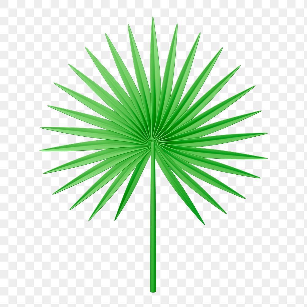 Fan palm png sticker, botanical 3D cartoon transparent background