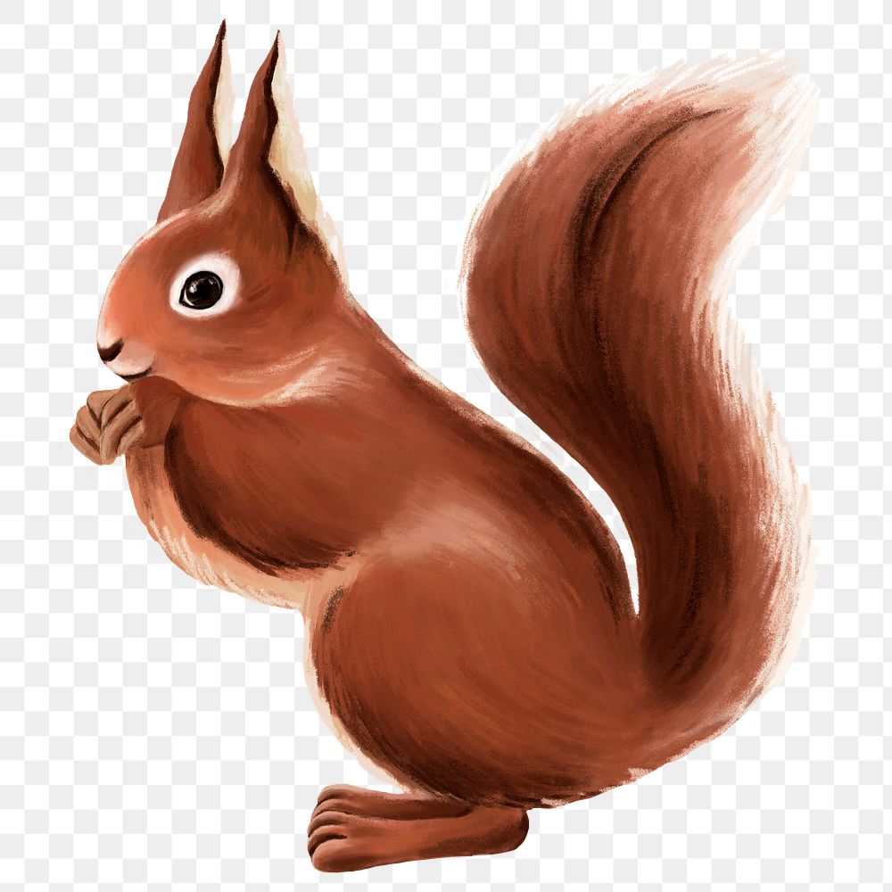 Squirrel png sticker, cute animal illustration, transparent background