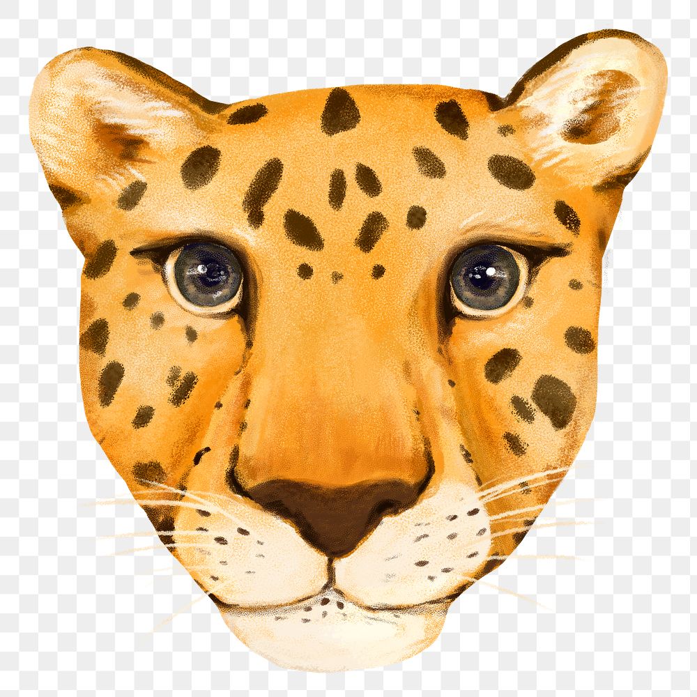 Cheetah head png sticker, cute animal illustration, transparent background