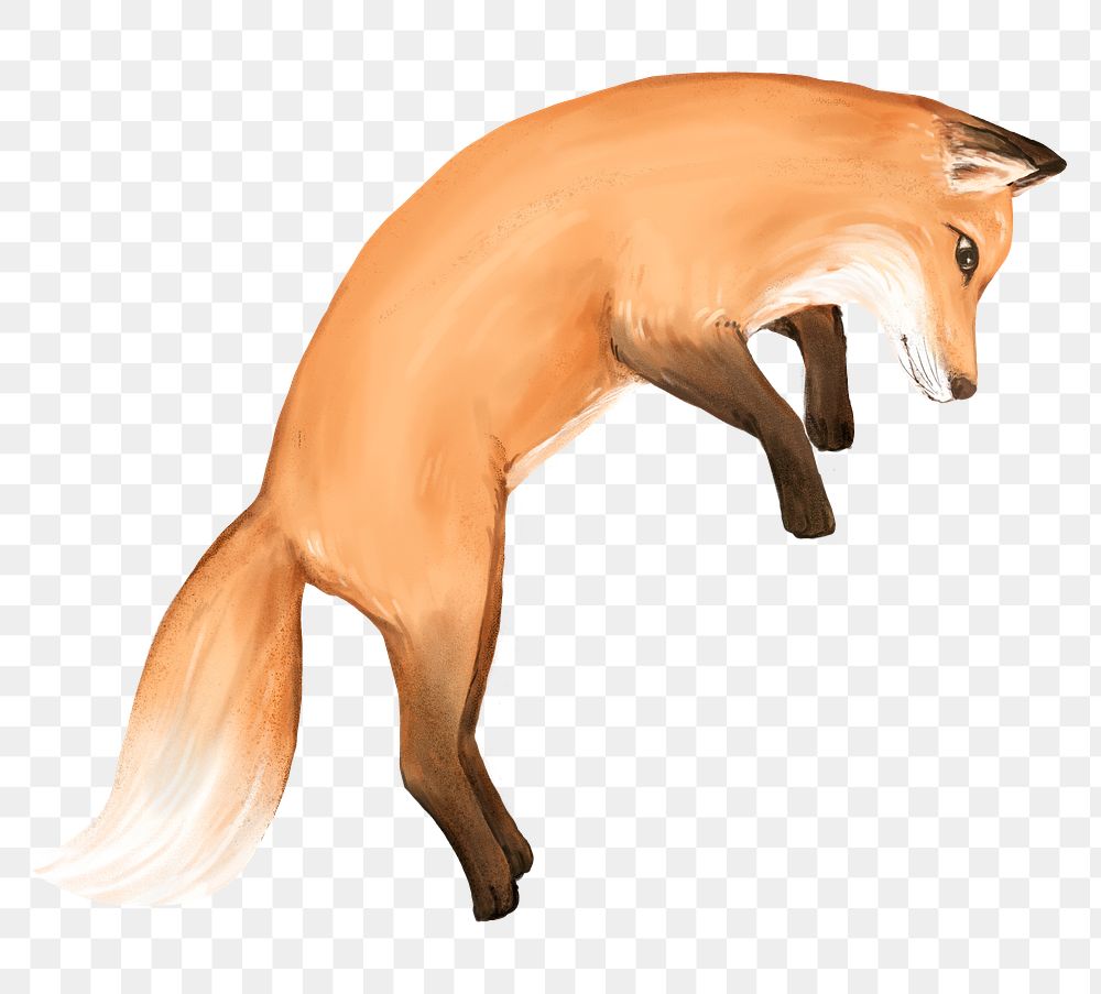 Jumping fox png sticker, cute animal illustration, transparent background