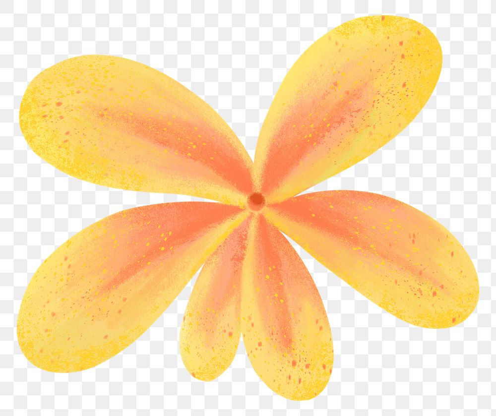 Yellow flower png sticker, botanical illustration, transparent background