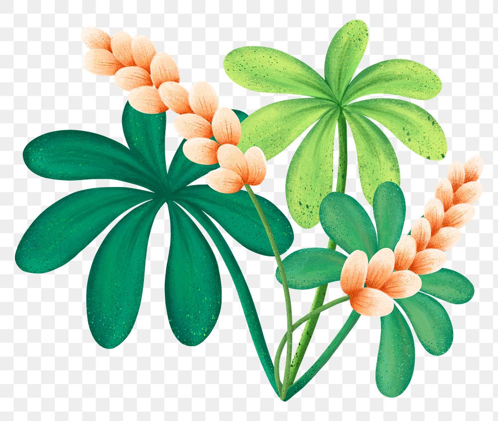 Tropical flower png sticker, botanical illustration, transparent background