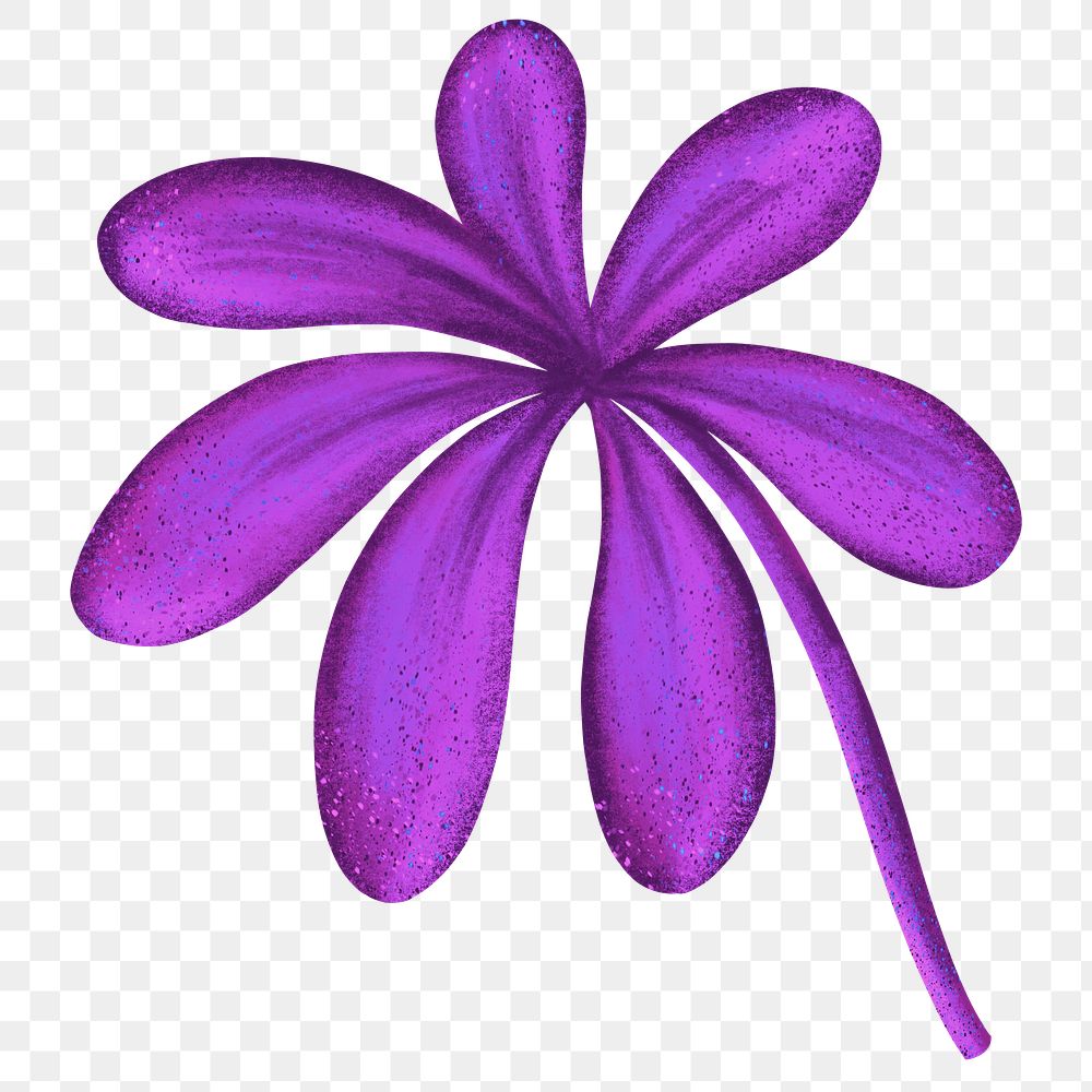 Purple flower png sticker, botanical illustration, transparent background