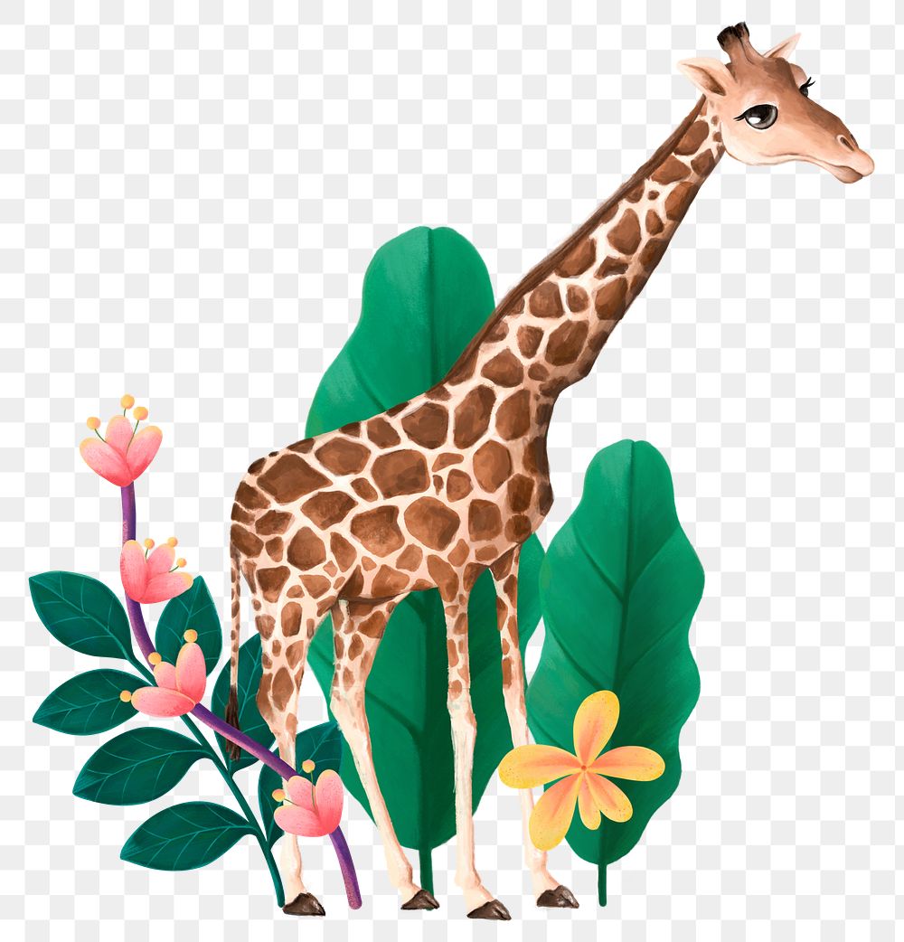 Giraffe wildlife png sticker, cute animal illustration, transparent background