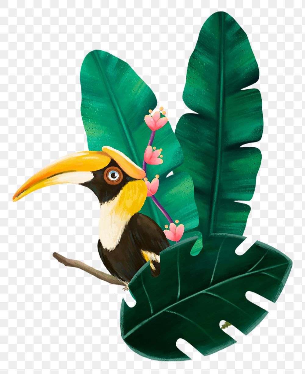 Hornbill bird png sticker, cute animal illustration, transparent background