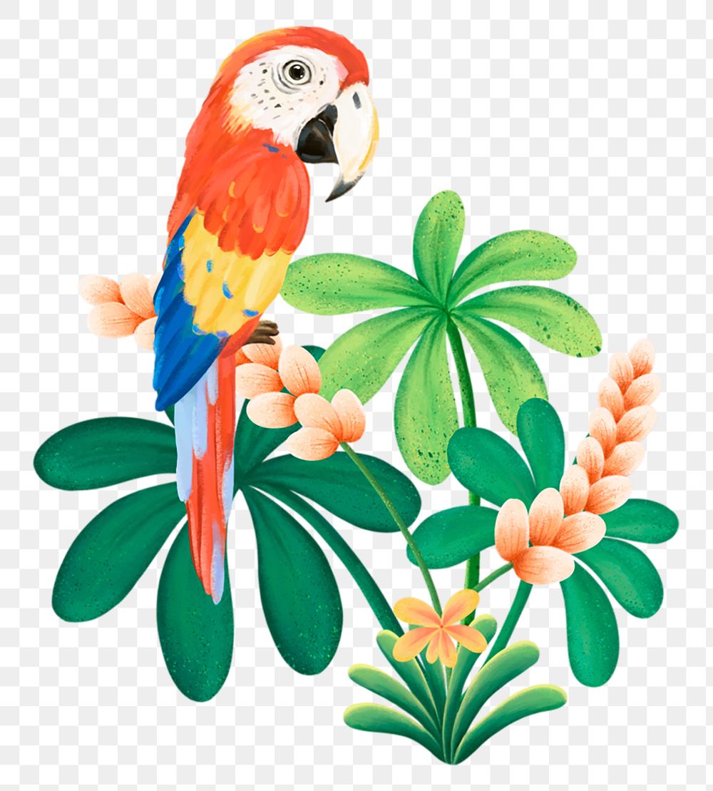 Macaw bird png sticker, cute animal illustration, transparent background