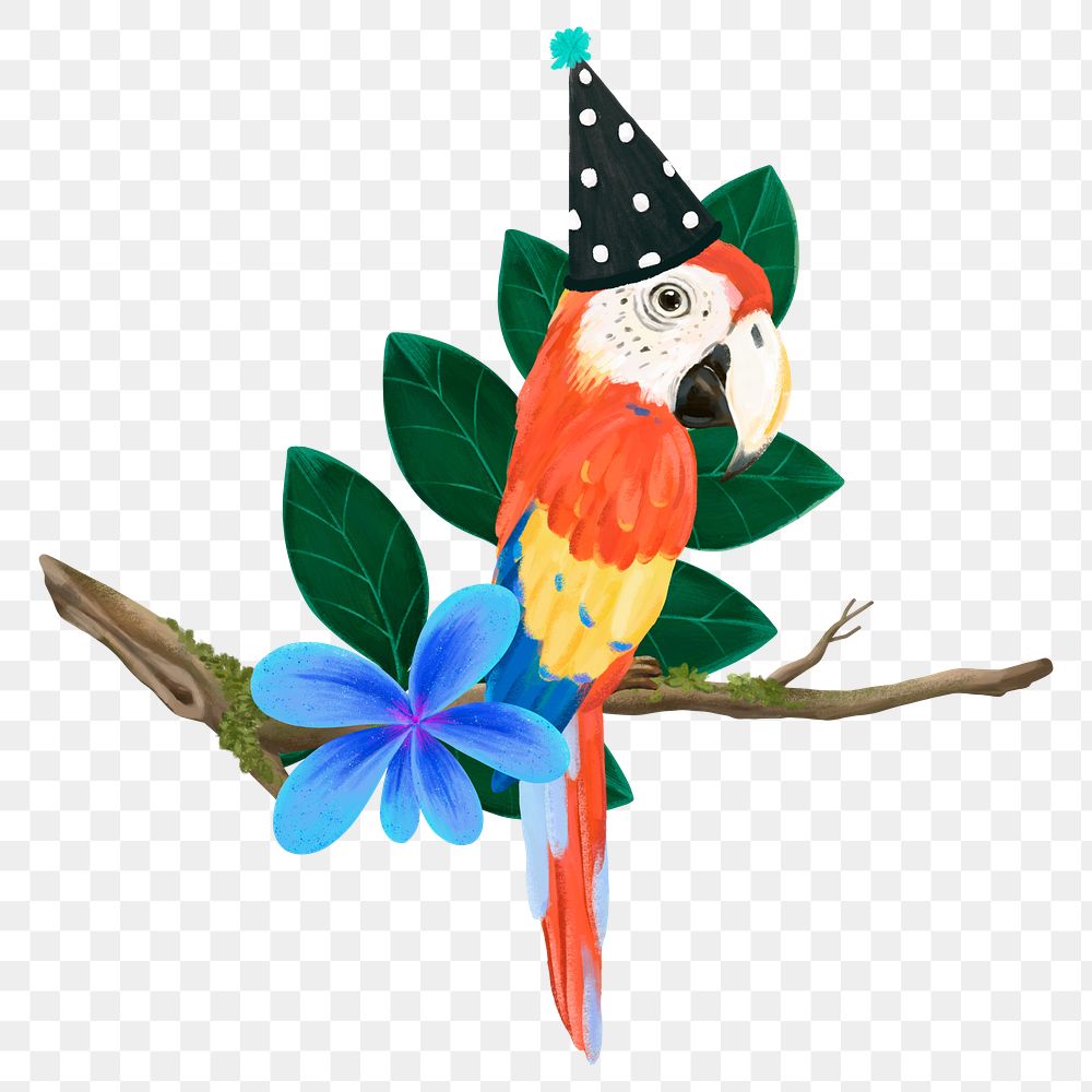 Birthday bird png sticker, cute animal illustration, transparent background