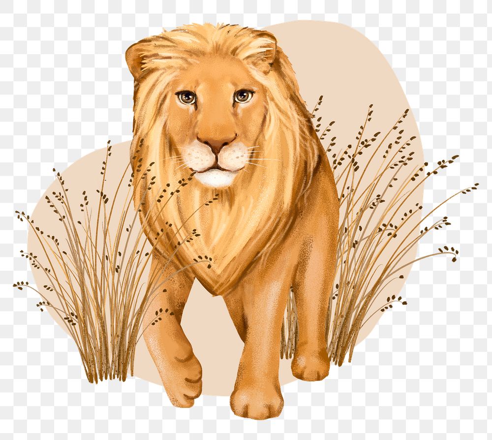 Lion wildlife png sticker, cute animal illustration, transparent background