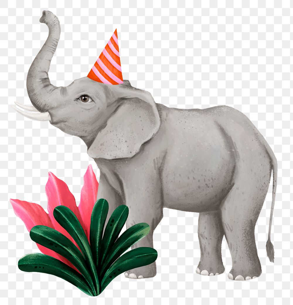 Birthday elephant png sticker, cute animal illustration, transparent background