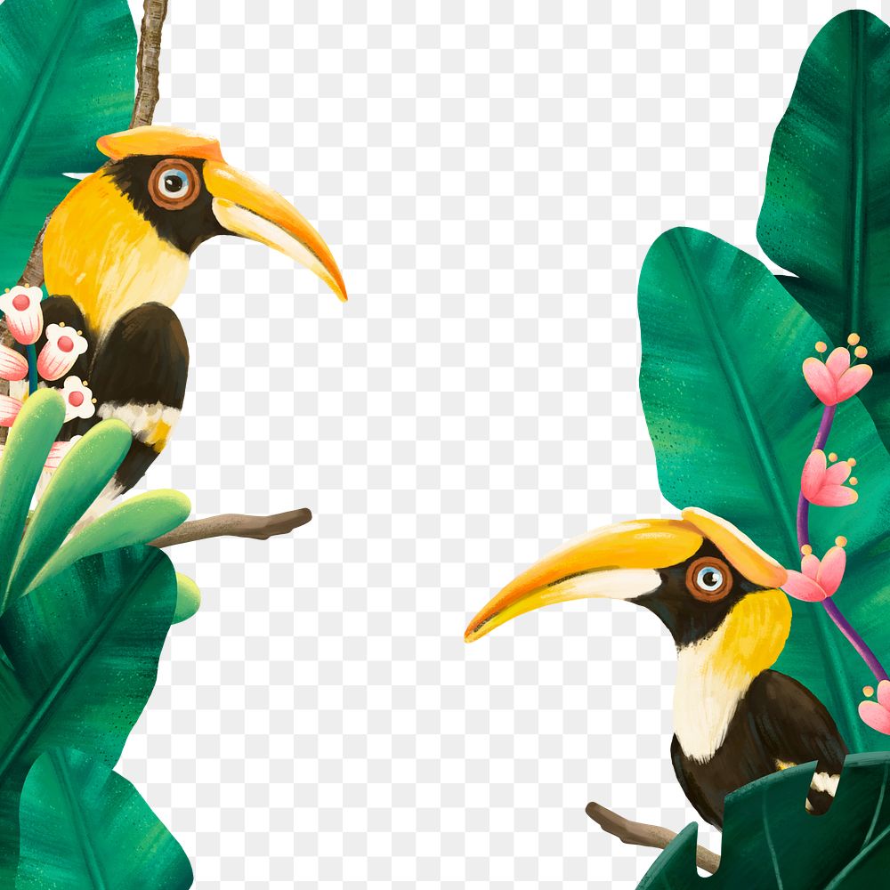 Tropical birds png frame, animal illustration, transparent background
