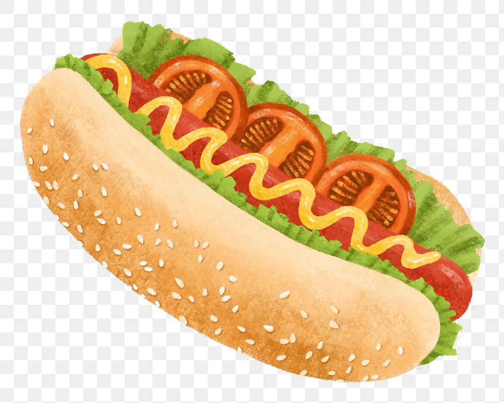 Hot dog png sticker, realistic food illustration, transparent background