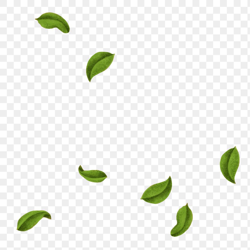 Falling peppermint png leaves, herb illustration, transparent background