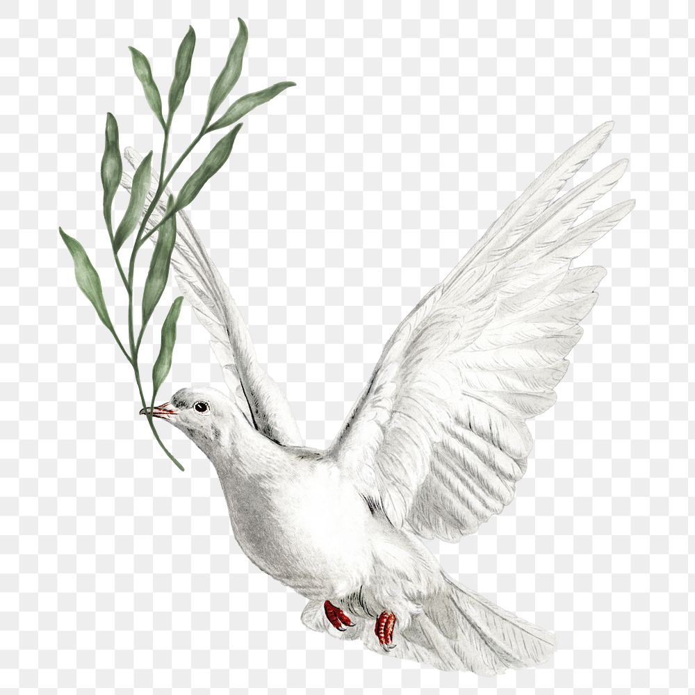 Vintage flying dove bird png sticker, transparent background