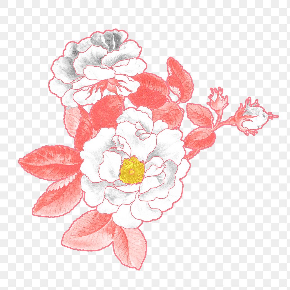 Aesthetic rose png flower sticker, transparent background, remixed by rawpixel