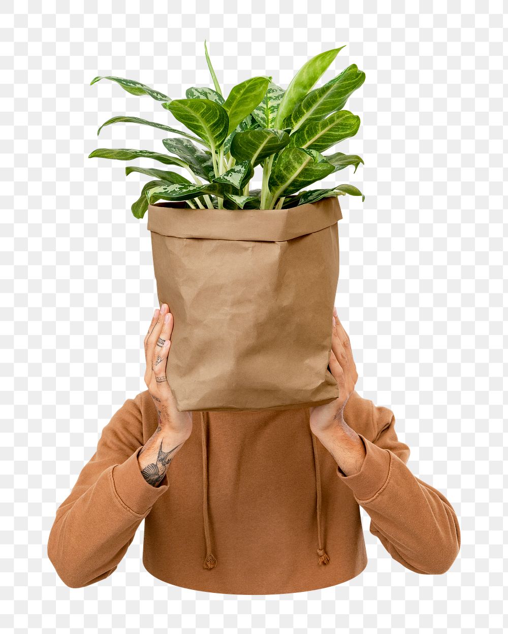 Png holding plant face sticker, transparent background