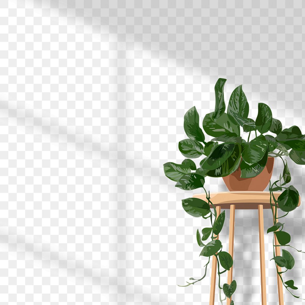 Potted houseplant png sticker, window shadow, transparent background