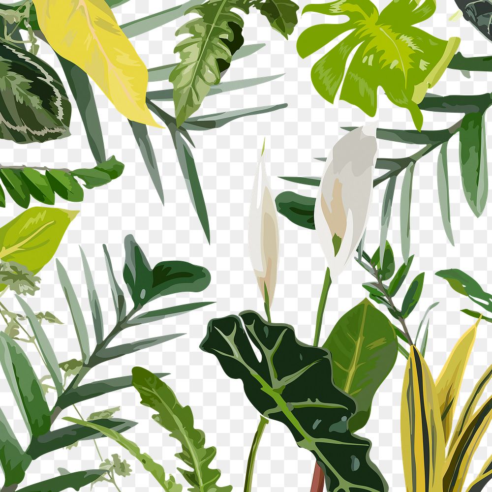 Tropical plants png leaves sticker, transparent background