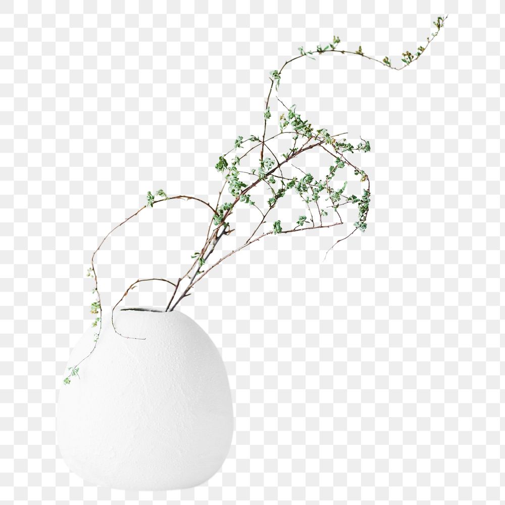 White vase png sticker, transparent background