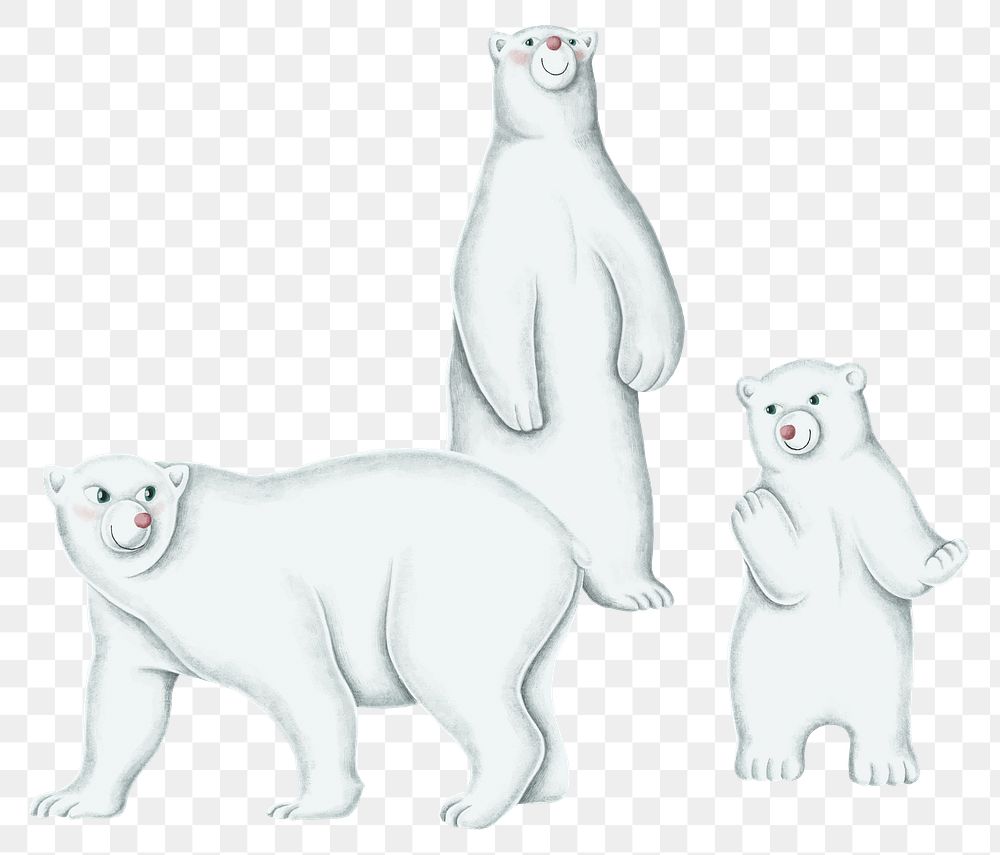 Polar bears png sticker, cute Christmas illustration, transparent background