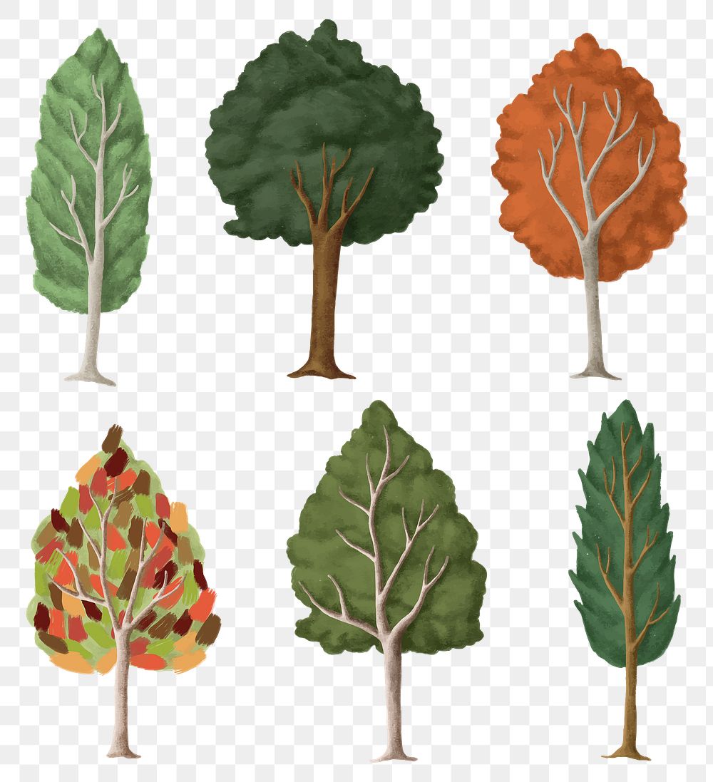 Seasonal trees png sticker, Autumn aesthetic on transparent background