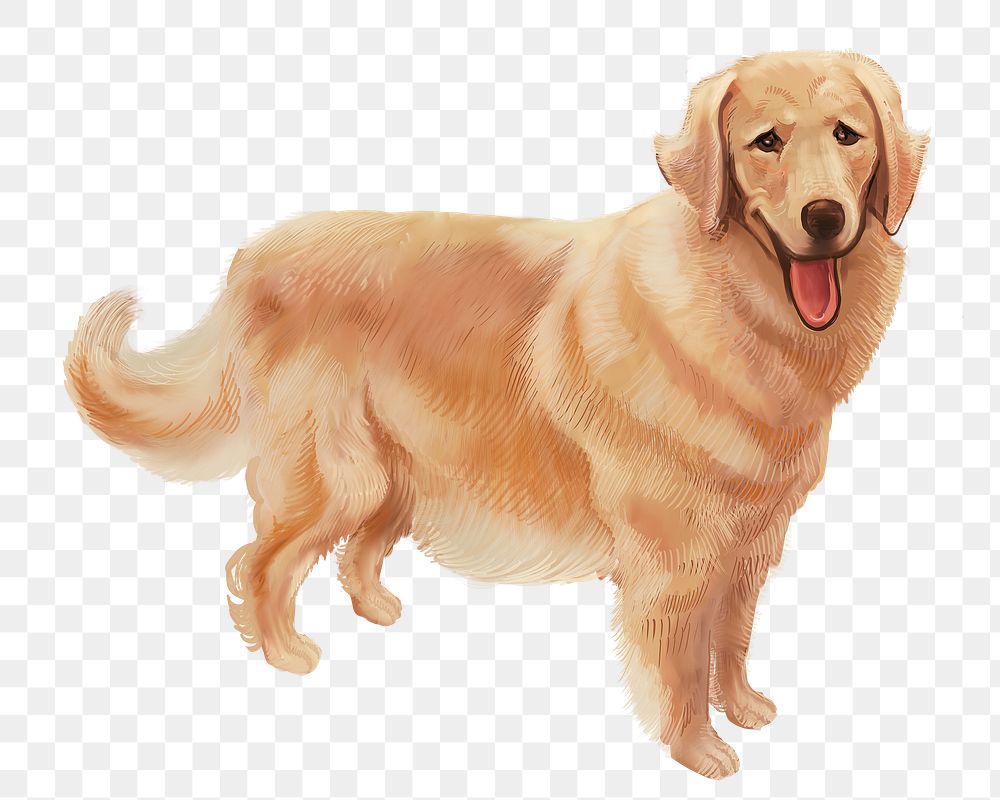 Golden Retriever png dog illustration sticker, transparent background