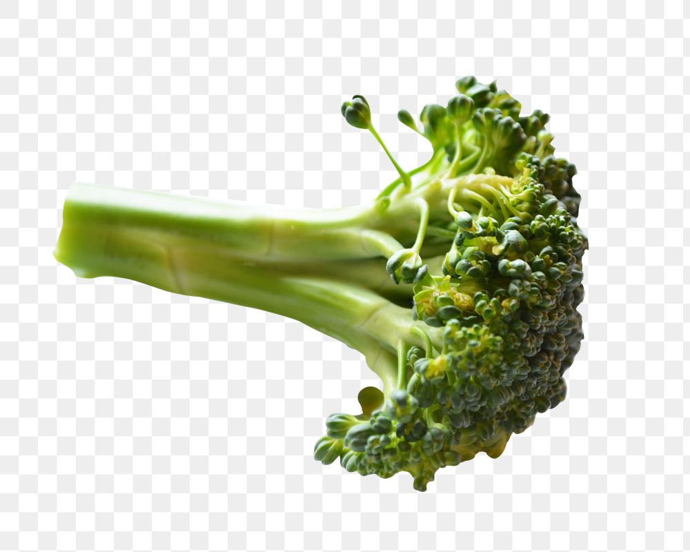 Broccoli vegetable png sticker, transparent background