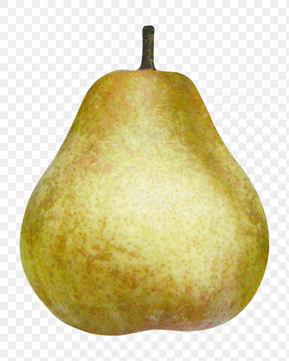 Pear fruit png sticker, transparent background